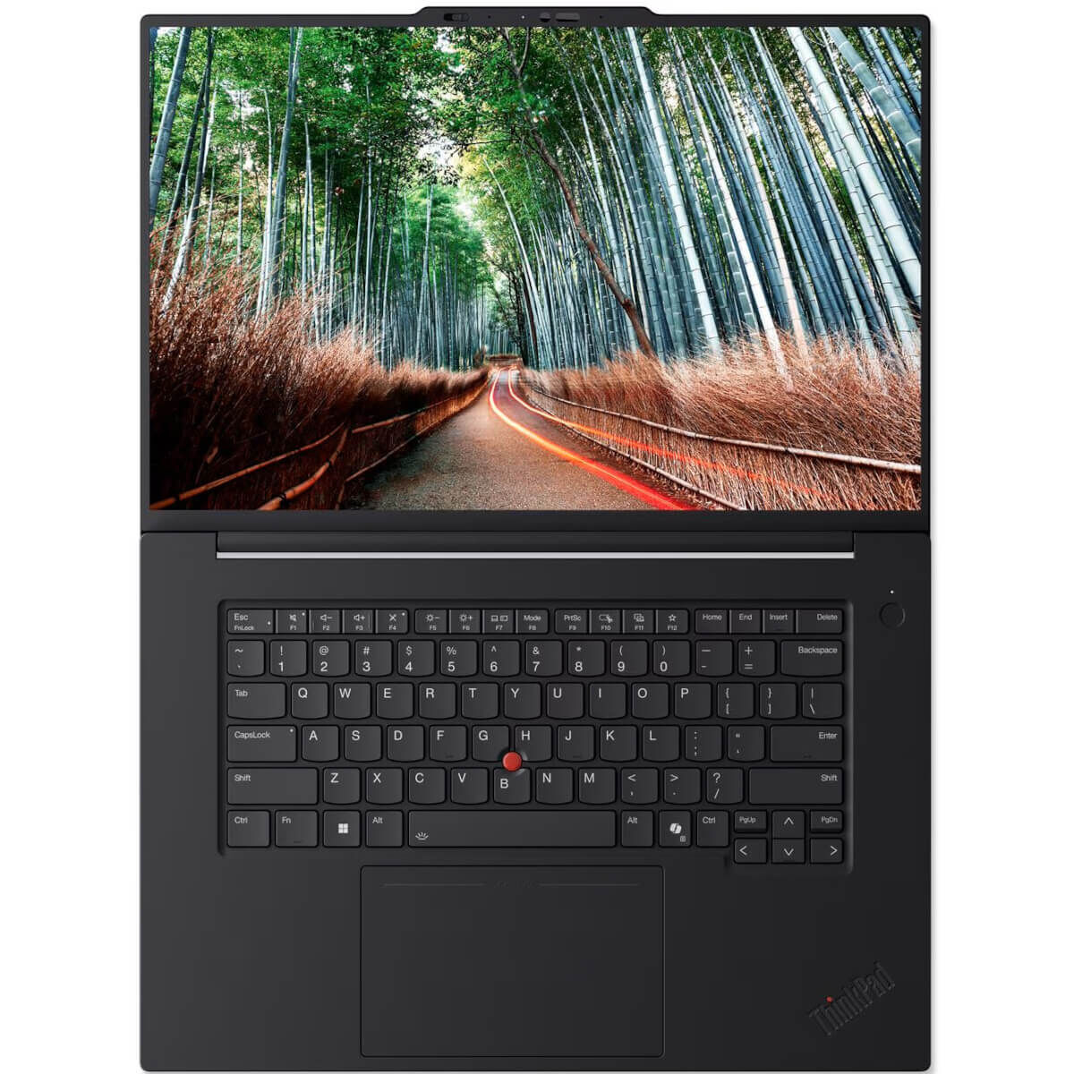 Lenovo ThinkPad P1 G8 [21Q8002DAU]