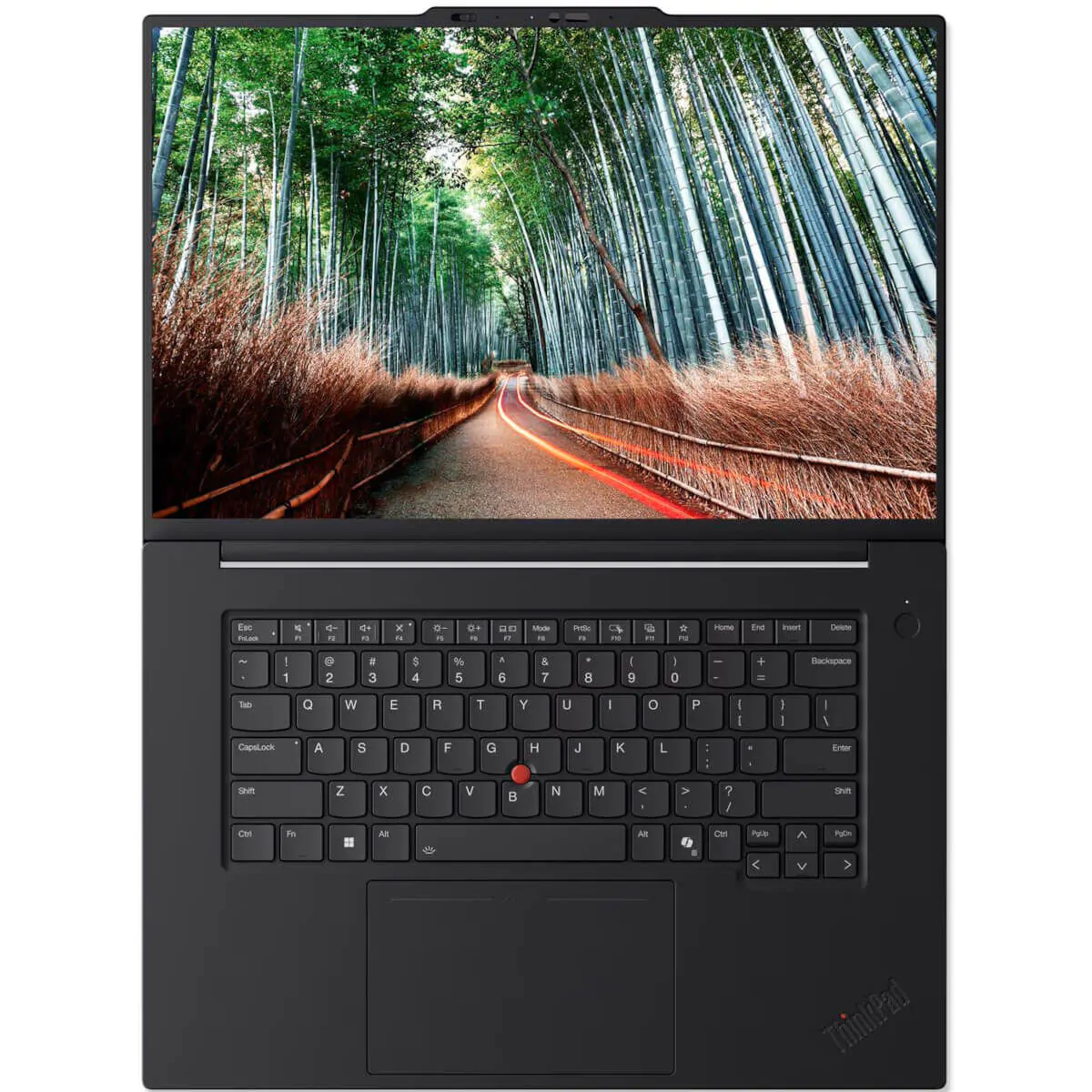 Lenovo ThinkPad P1 G8 [21Q8002CAU]
